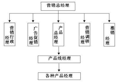 畫出服裝企業(yè)的營銷組織結(jié)構(gòu)--產(chǎn)品管理型組織結(jié)構(gòu)的結(jié)構(gòu)表